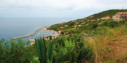 Yachthafen - Stromanschluss - Korsika  - Quelle: http://www.korsika.com/cargse/ - Cargese