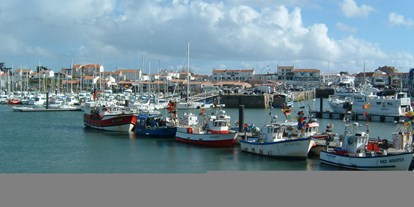 Yachthafen - am Meer - Vendée - Quelle: http://portherbaudiere.free.fr/ - Port de l'Herbaudière